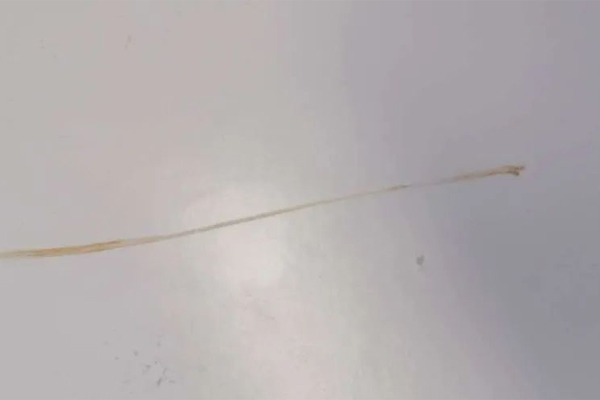 1598491966482231.jpg 3.jpg